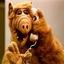Alf1