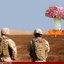 Mushroom-cloud-explosion--32738