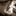 21260_10102310178425769_5224058039822290721_n